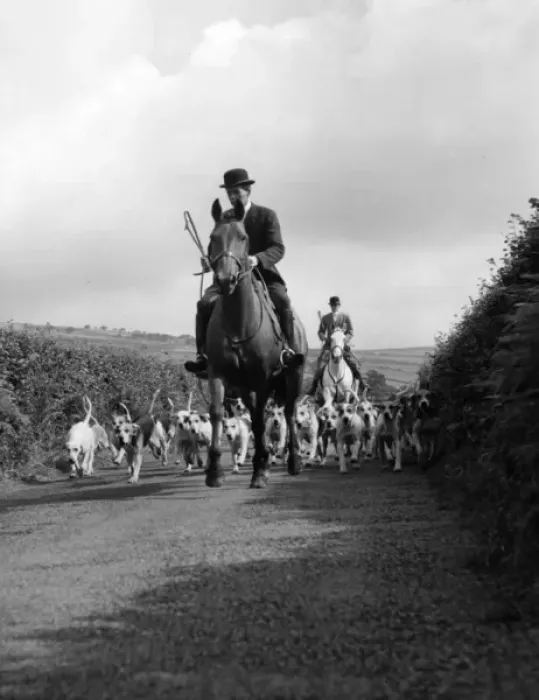 Framed Print : Devon and Somerset staghounds on a country lane Framed Print : Devon and Somerset staghounds on a country lane