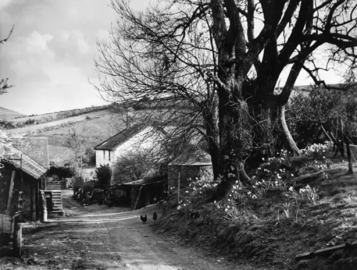 Framed Print : Devonshire Farmstead Framed Print : Devonshire Farmstead