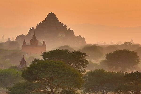 Dhammayangyi Pagoda at sunset, Plain of Bagan, Myanmar