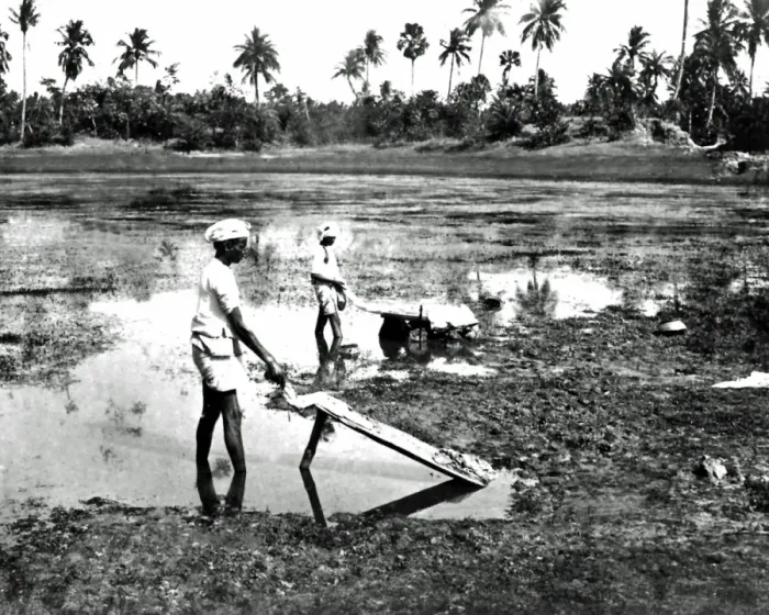 Framed Print : Dhobis washing clothes, India Framed Print : Dhobis washing clothes, India