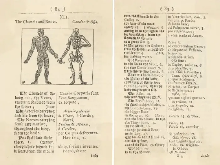 Framed Print : Diagram of Body / 1658 Framed Print : Diagram of Body / 1658