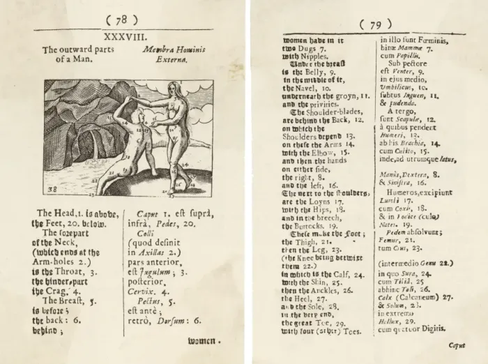 Framed Print : Diagram of Body / 1658 Framed Print : Diagram of Body / 1658