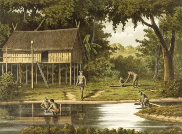 Framed Print : Diamond Hunting / Borneo Framed Print : Diamond Hunting / Borneo