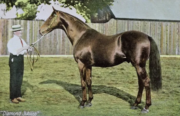 Framed Print : Diamond Jubilee, champion racehorse, with groom Framed Print : Diamond Jubilee, champion racehorse, with groom