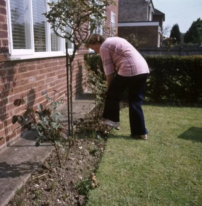 Framed Print : Digging Garden 1970S