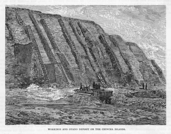 Framed Print : Digging out Guano / Peru Framed Print : Digging out Guano / Peru