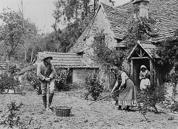 Digging a vegetable patch, 1890s