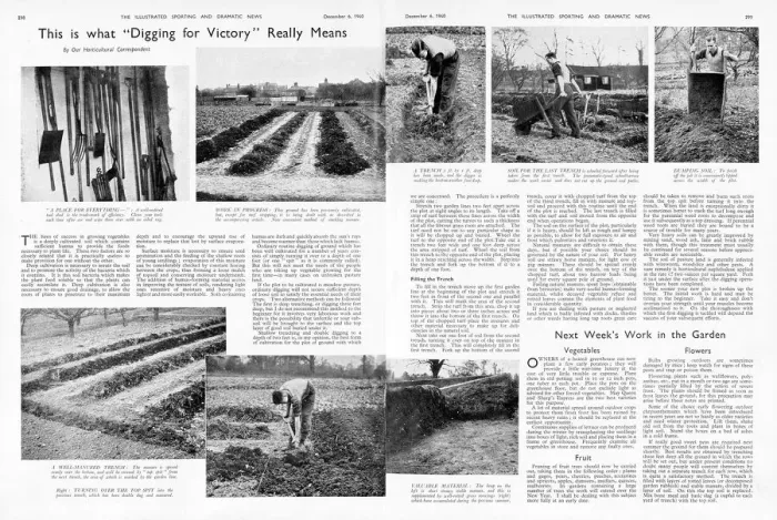 Framed Print : What digging for victory really means, 1940 Framed Print : What digging for victory really means, 1940