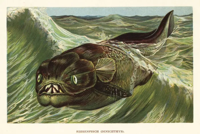 Framed Print : Dinichthys herzeri, giant marine arthrodire placoderm Framed Print : Dinichthys herzeri, giant marine arthrodire placoderm