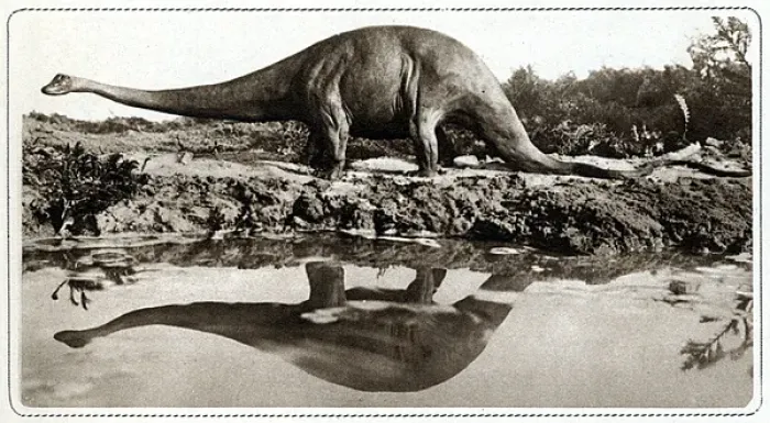 Framed Print : Dinosaur / Diplodocus Framed Print : Dinosaur / Diplodocus