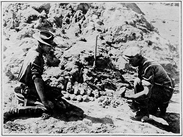 Dinosaur egg excavation, 1925