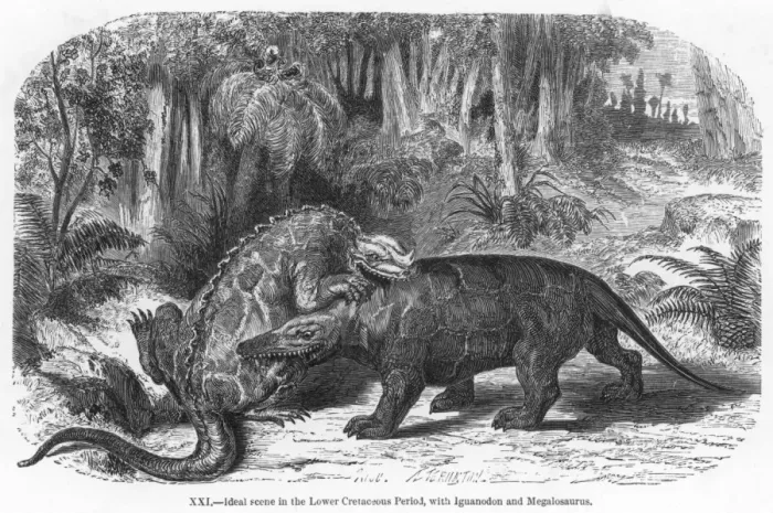 Framed Print : Dinosaur / Iguanodon Framed Print : Dinosaur / Iguanodon