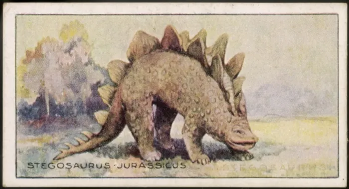 Framed Print : Dinosaur / Stegosaurus Framed Print : Dinosaur / Stegosaurus