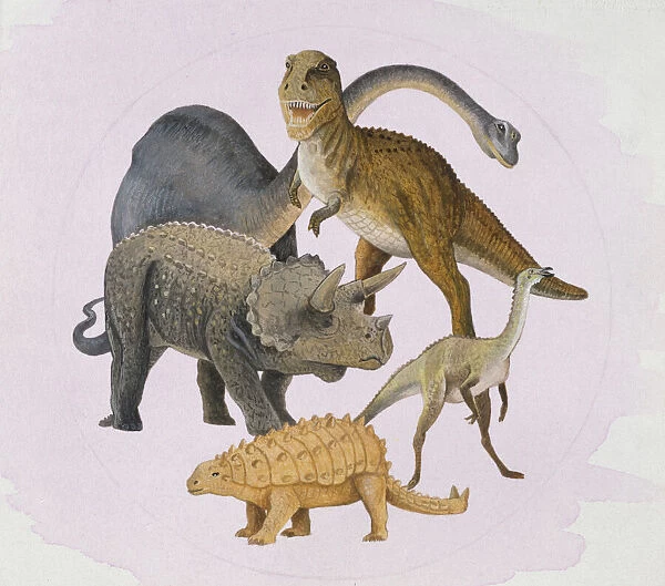 Dinosaurs. An illustration showing, Apatosaurus 