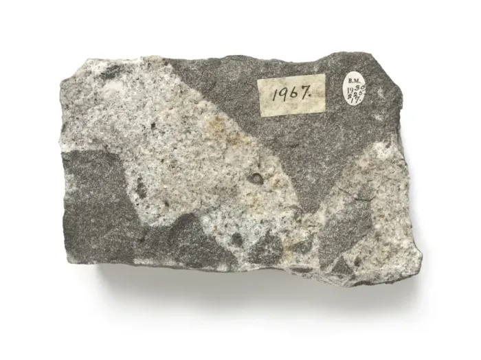 Framed Print : Diorite intruded by microgranite Framed Print : Diorite intruded by microgranite
