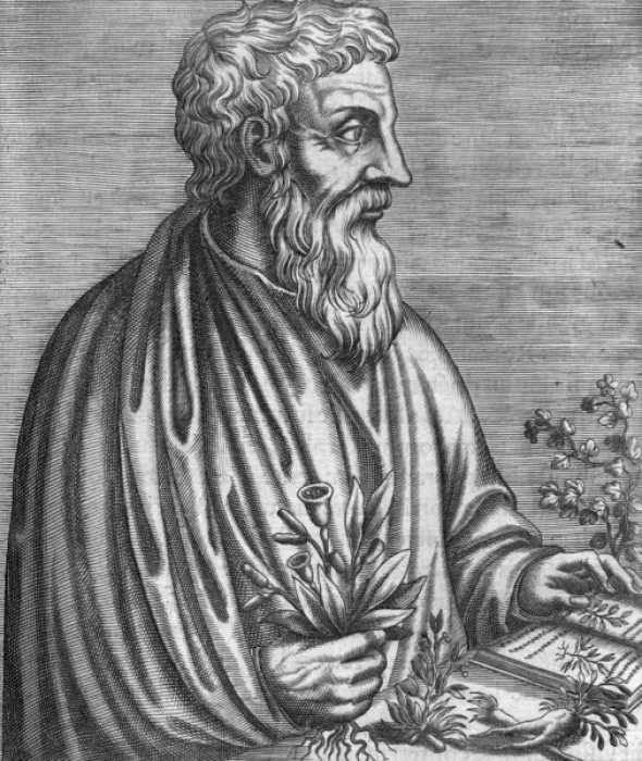 Framed Print : Dioscorides (Thevet) Framed Print : Dioscorides (Thevet)