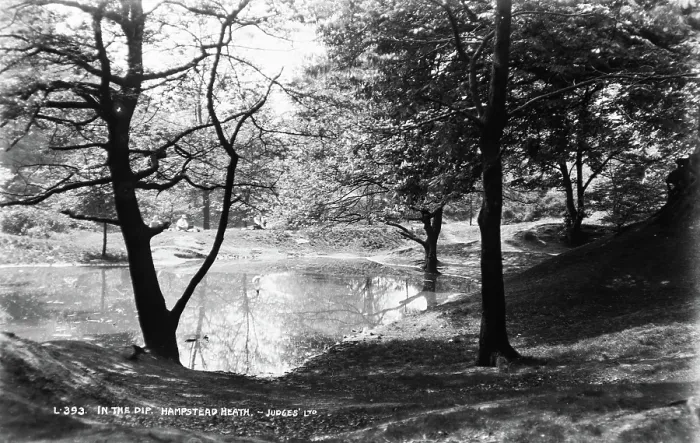 Framed Print : In the Dip, Hampstead Heath Framed Print : In the Dip, Hampstead Heath