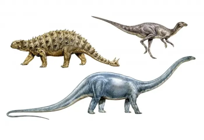 Framed Print : Diplodocus, Euoplocephalus & Hypsilophodon Framed Print : Diplodocus, Euoplocephalus & Hypsilophodon