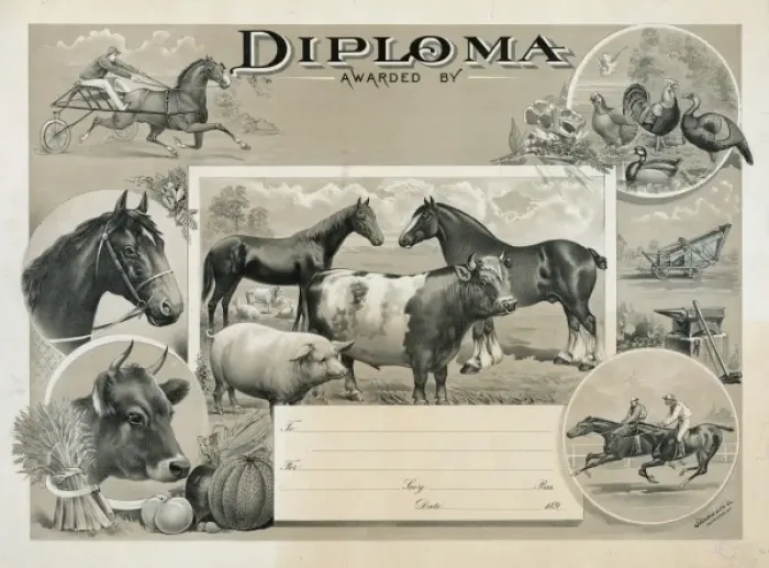 Framed Print : Diploma awarded by Framed Print : Diploma awarded by