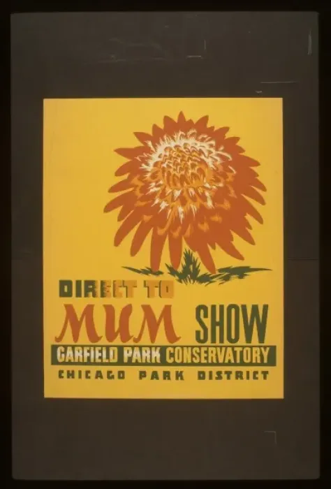 Framed Print : Direct to mum show, Garfield Park Conservatory Framed Print : Direct to mum show, Garfield Park Conservatory