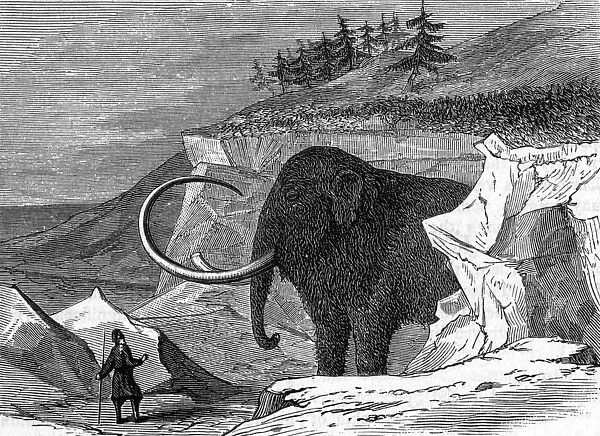 Discovery of the Adams mammoth, 1799