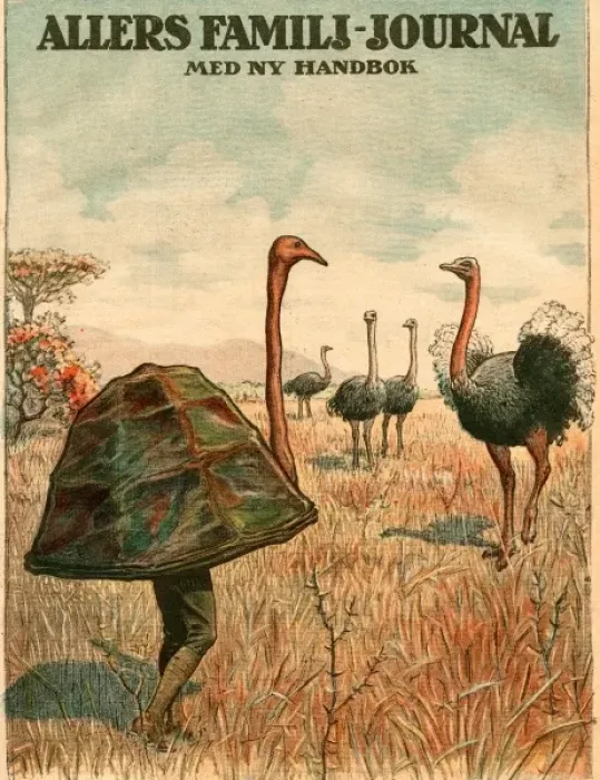 Framed Print : Disguise for Ostrich Pic Framed Print : Disguise for Ostrich Pic