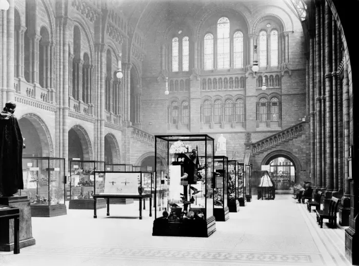 Framed Print : Display cases in the Central Hall at the Natural History Mus Framed Print : Display cases in the Central Hall at the Natural History Mus