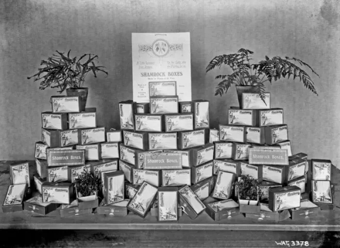 Framed Print : A display of shamrock boxes on a table for sending to the tr Framed Print : A display of shamrock boxes on a table for sending to the tr