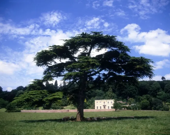 Framed Print : Distant view of Arlington Court, near Barnstaple, Devon