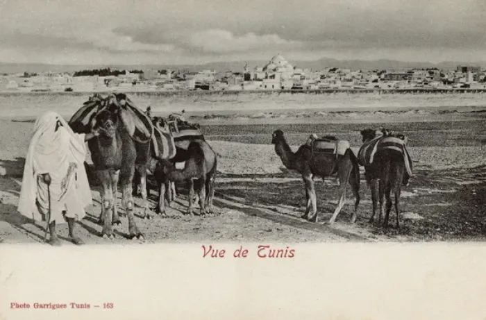 Framed Print : Distant view of Tunis, Tunisia, North Africa Framed Print : Distant view of Tunis, Tunisia, North Africa
