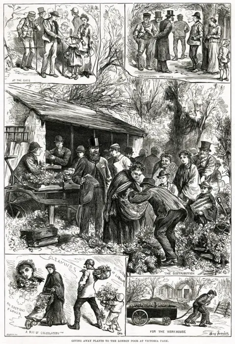 Framed Print : Distribution of Plants to Poor Londoners, Victoria Park Framed Print : Distribution of Plants to Poor Londoners, Victoria Park