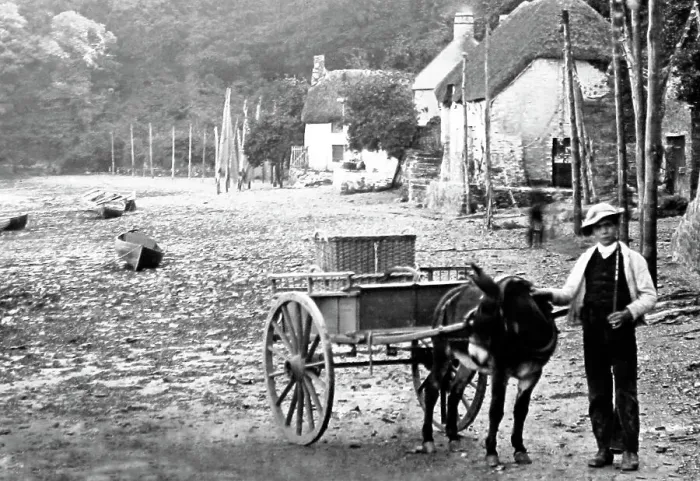 Framed Print : Dittisham, Devon Framed Print : Dittisham, Devon