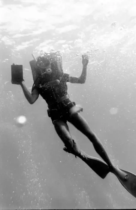 Framed Print : Diver underwater off the coast of Malta Framed Print : Diver underwater off the coast of Malta