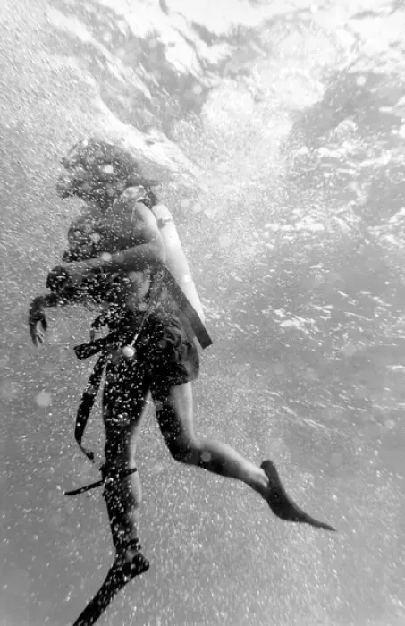 Framed Print : Diver underwater off the coast of Malta Framed Print : Diver underwater off the coast of Malta