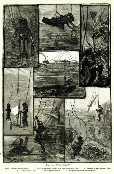 Framed Print : Divers and Diving Framed Print : Divers and Diving
