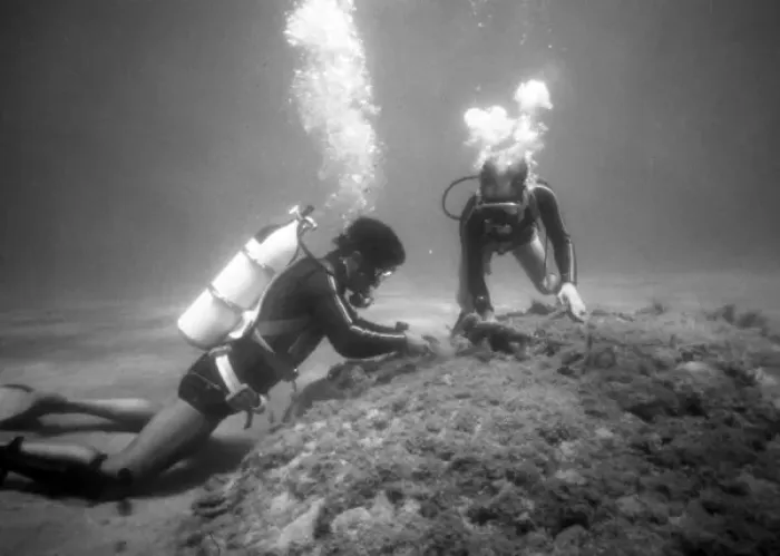 Framed Print : Divers on the seabed off the coast of Malta Framed Print : Divers on the seabed off the coast of Malta
