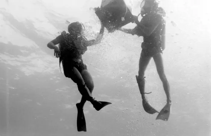 Framed Print : Divers underwater off the coast of Malta Framed Print : Divers underwater off the coast of Malta