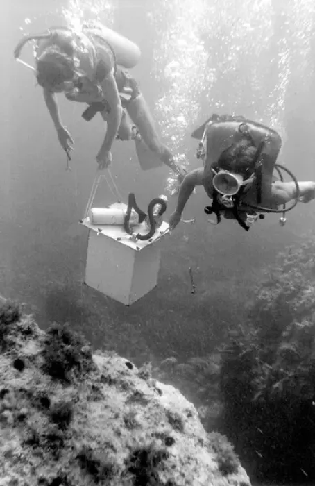 Framed Print : Divers underwater off the coast of Malta Framed Print : Divers underwater off the coast of Malta