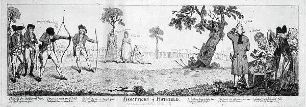 Diversions of Hatfield