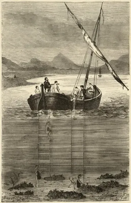 Framed Print : Diving for Pearls Framed Print : Diving for Pearls