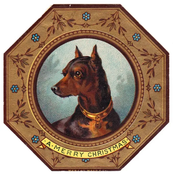 Framed Print : Doberman dog on plate design on a Christmas card Framed Print : Doberman dog on plate design on a Christmas card