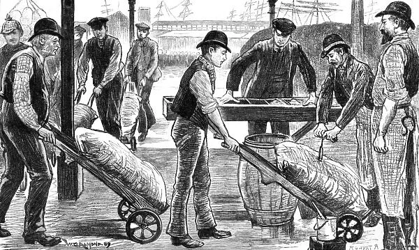 Dockers unload sugar at the West India Docks, London
