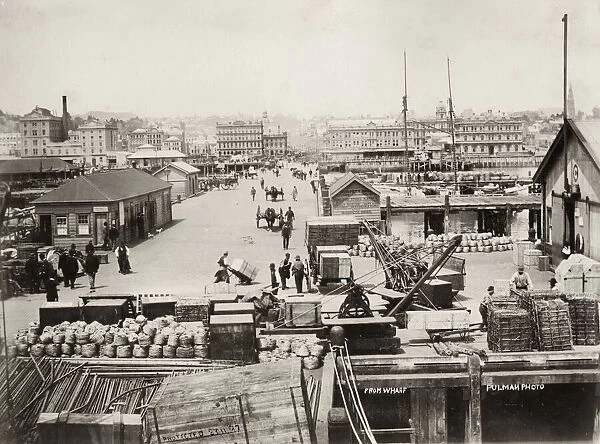 Docks, harbour at Auckland, New Zealand, c. 1895