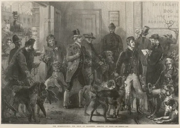 Framed Print : Dog Show in 1865 Framed Print : Dog Show in 1865