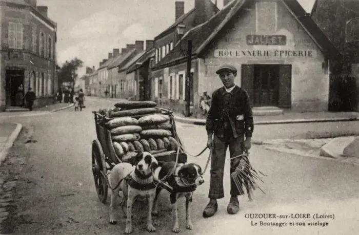 Framed Print : DOG & BAKERS CART DOG & BAKERS CART Framed Print : DOG & BAKERS CART DOG & BAKERS CART