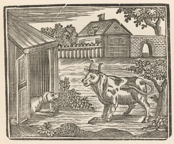 Framed Print : Dog Barks at Cow Framed Print : Dog Barks at Cow