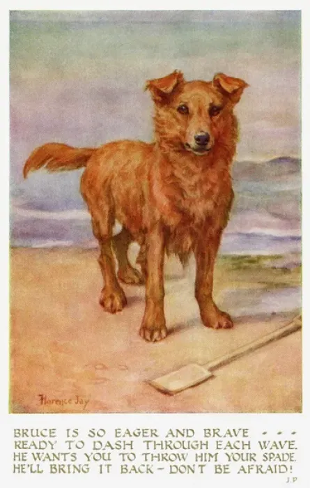Framed Print : Dog on a beach Framed Print : Dog on a beach