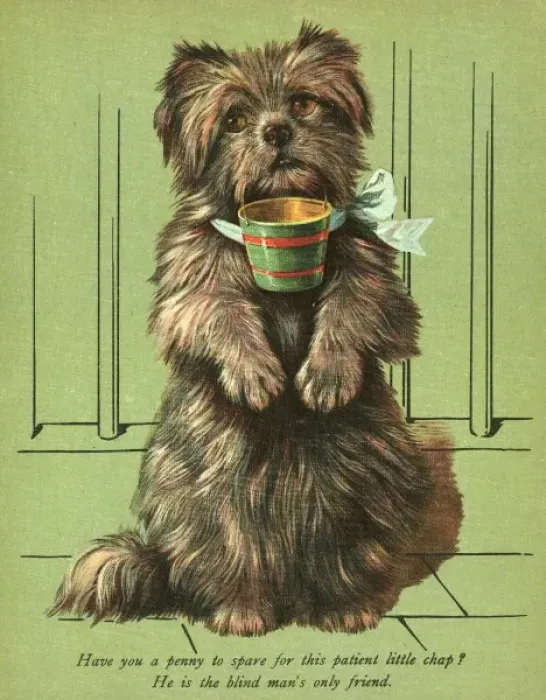 Framed Print : Dog Begging with Cup Framed Print : Dog Begging with Cup