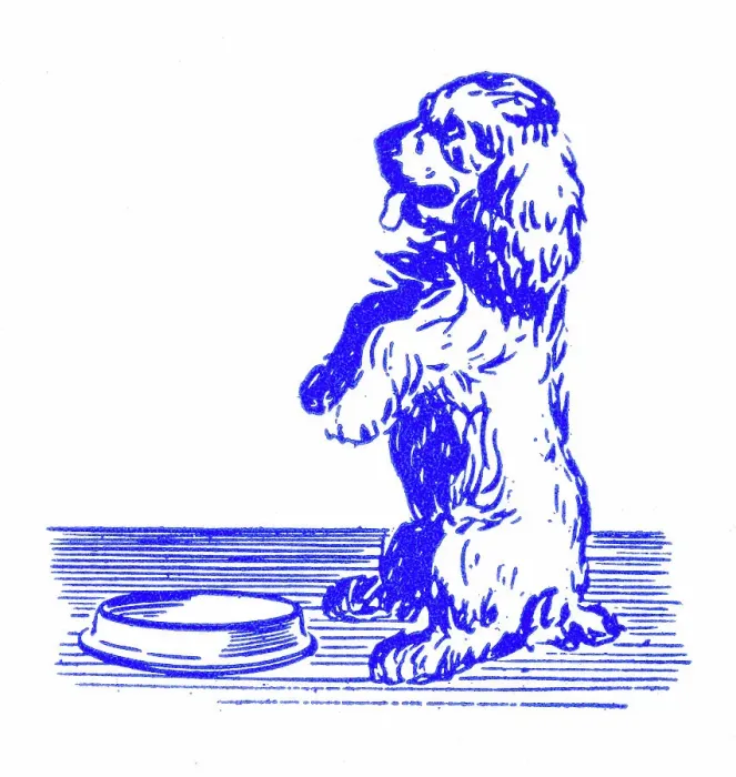 Framed Print : Dog begging for meal - 1950s printer's block