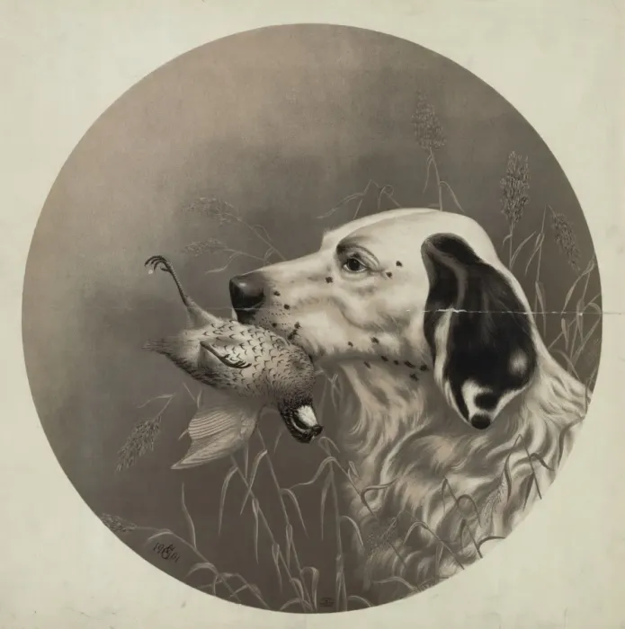 Framed Print : Dog with bird in mouth